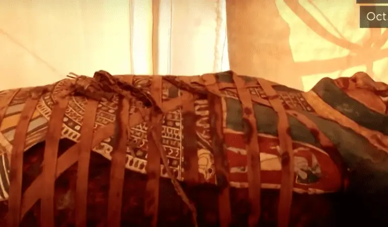 Saqqara Reveals More Exquisite Coffins, Mummies, and Rare Wooden Statues