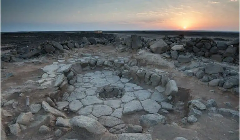 World’s oldest bread ever found predates agriculture by 4,000 years