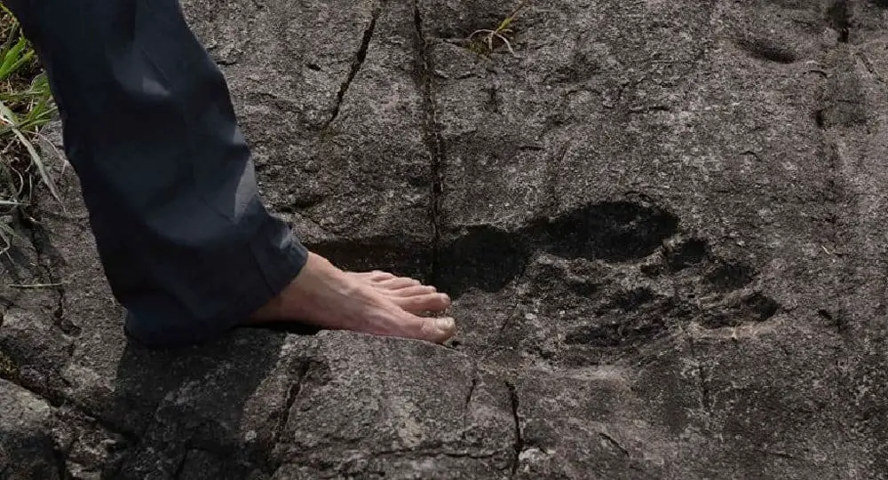 Giant footprint discovered in China 1