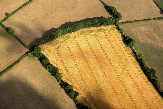 Aerial Images Reveal How Britain’s Heatwave Has Exposed More Than 1,500 Lost Ancient Monuments