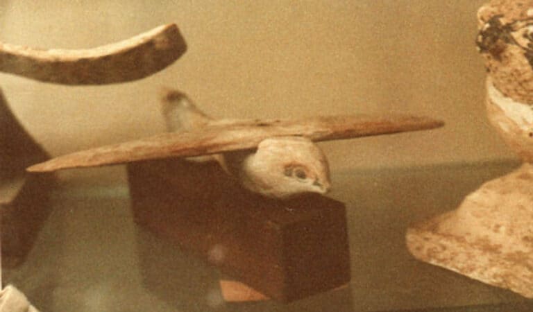 The mysteries of Ancient Egypt’s Saqqara Bird