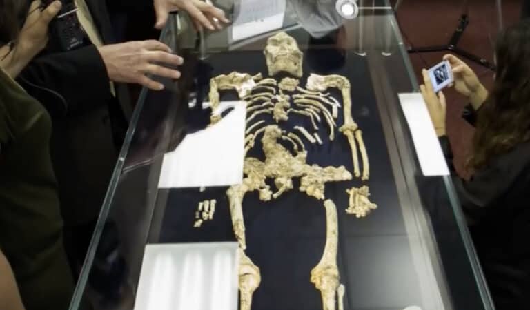 Why This Ancient Skeleton Is STILL Making Scientists Question Human Origins
