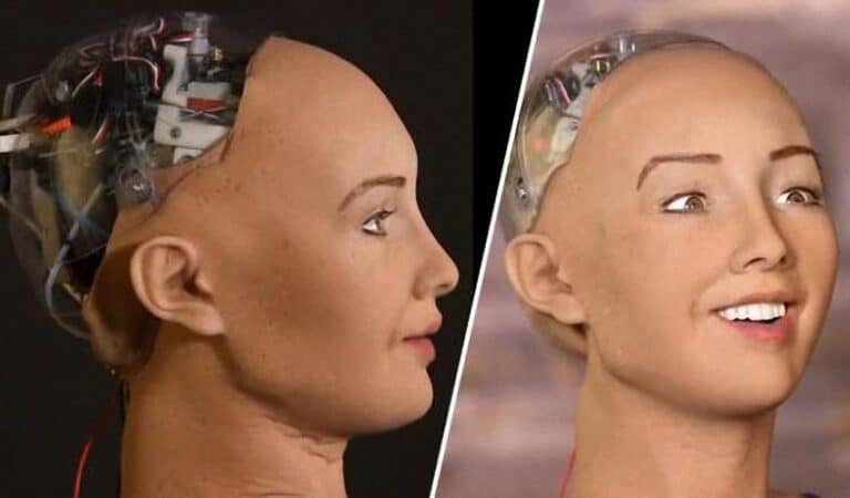 Sophia, the world’s first Robot Citizen ‘wants to start a family’