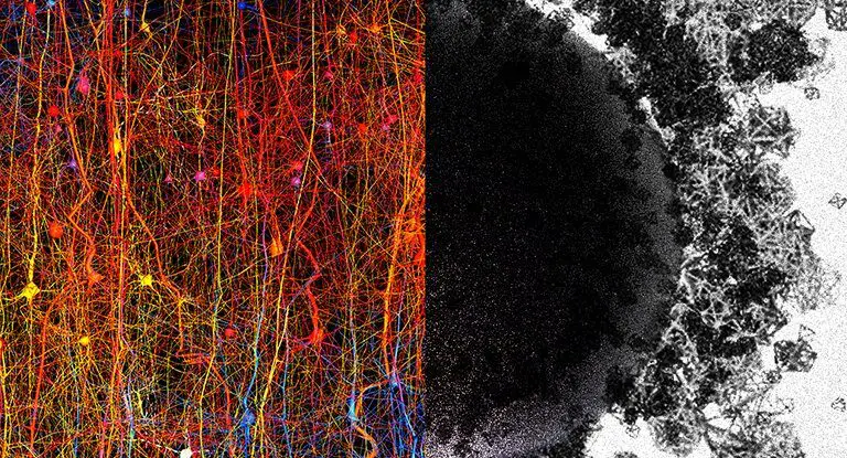 As above so below: Scientists find a multidimensional universe inside our brain