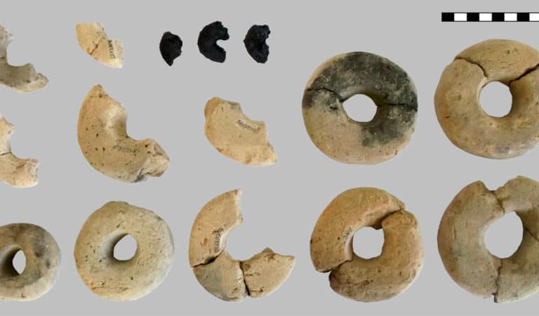 Archaeologists discover ancient ‘Cheerios’ in Austria dating back to 1000 BCE