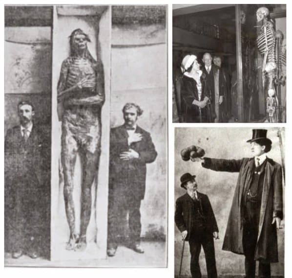 The mystery behind the 18 Giant skeletons found in Wisconsin