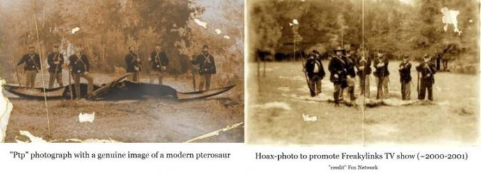 A Real Image Of An Pterodactyl? The Mystery Behind The Civil War Dinosaur Photo 1 civil war pterosaur