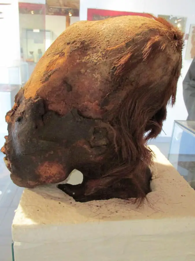 DNA Results For The Elongated Skulls Of Paracas: Part 3 Of 4: “Cleopatra Of Paracas.”